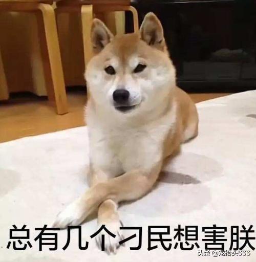 为什么有人说一个人再没钱也要穿好一点?