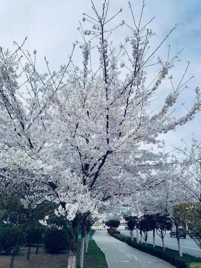 为什么有的人皮肤紧致,没有皱纹但给人感觉很老?