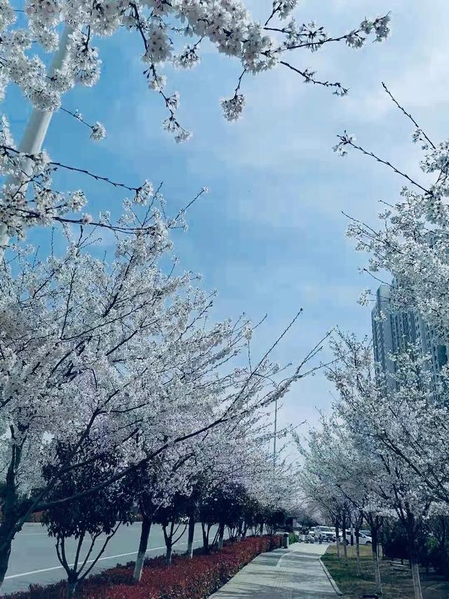 为什么有的人皮肤紧致,没有皱纹但给人感觉很老?