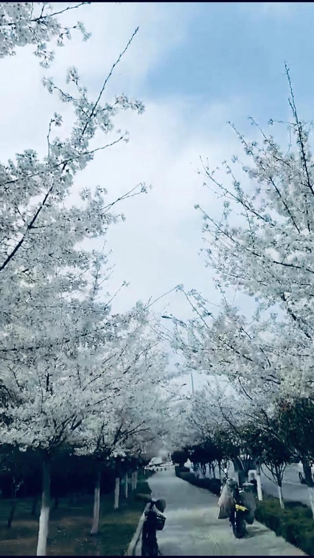 为什么有的人皮肤紧致,没有皱纹但给人感觉很老?