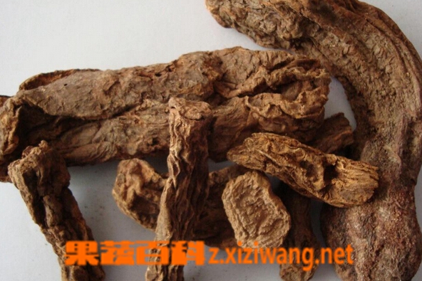 壮阳名药锁阳的功效与作用全析