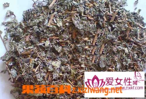 溪黄草的副作用