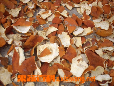 苍术的功效和作用