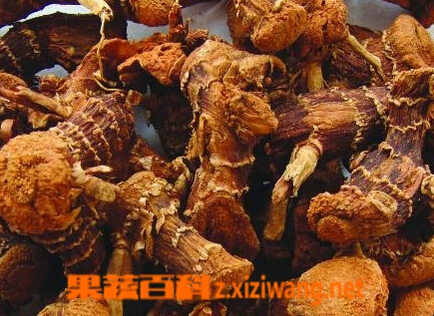 山柰的功效与作用
