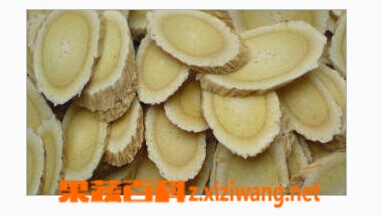 炙黄芪的功效与作用及食用方法