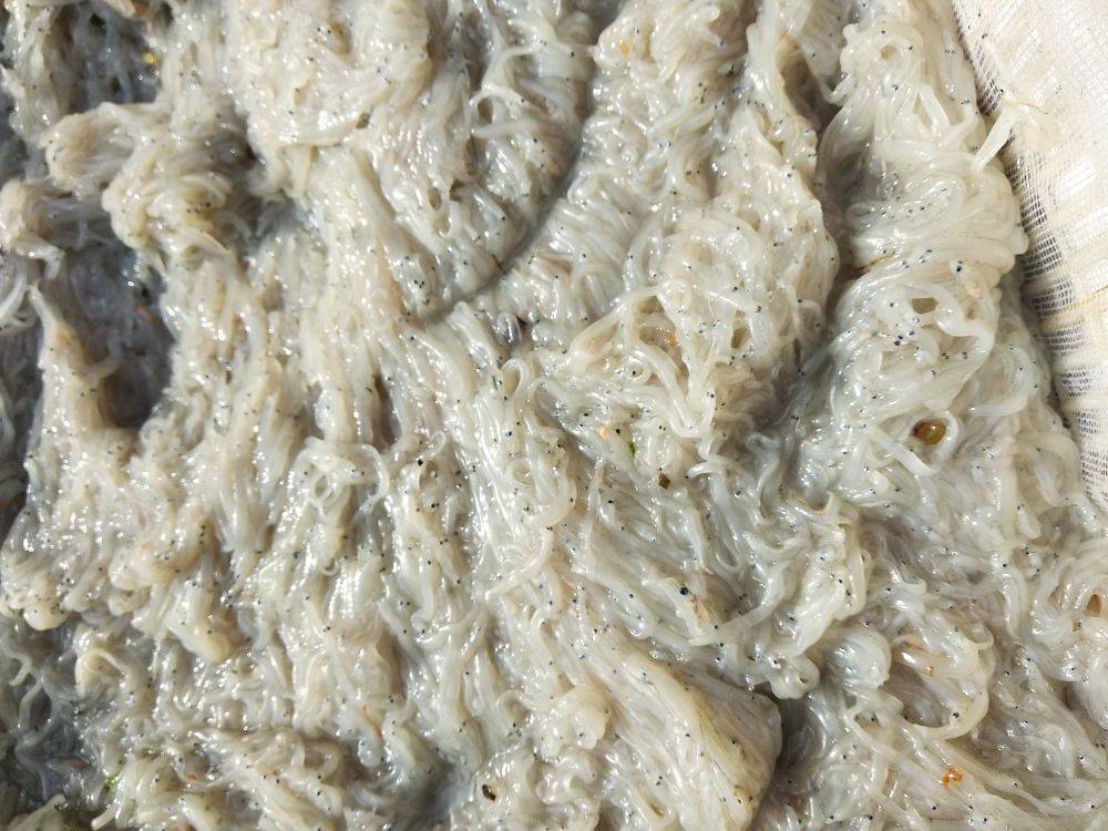 海鱼加锅饼做法 海鱼怎么做