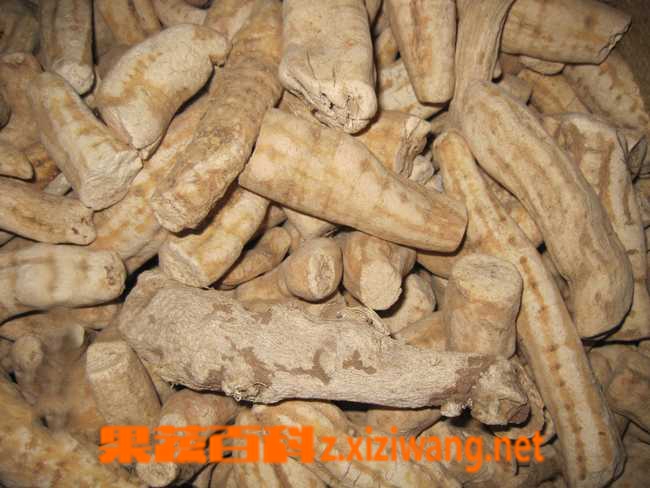 天花粉的功效与作用
