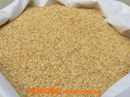 谷壳的功效和作用 谷壳的药用价值