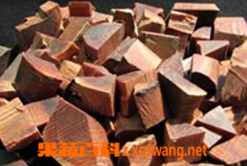 中药油松节的功效与作用