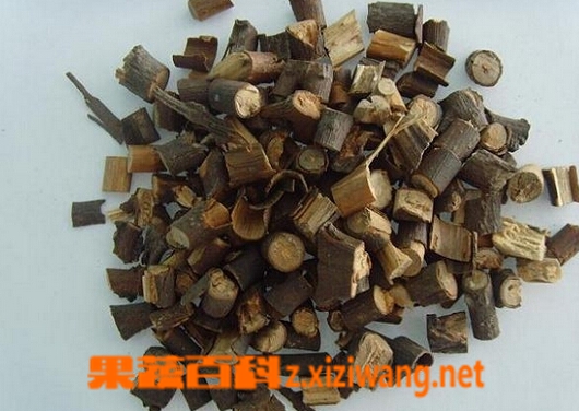 桂枝的功效与作用及食用方法
