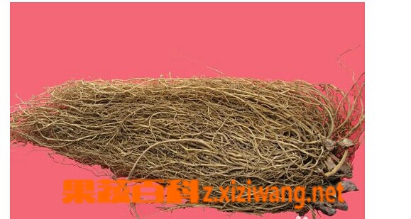 细辛的功效和作用