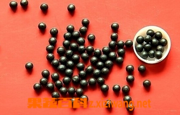 女人肾虚怎么办 女人肾虚治疗方法