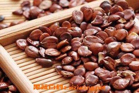 炒酸枣仁的功效与作用及食用方法