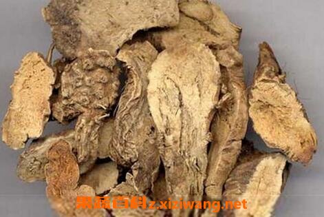 中药山豆根的功效与作用及禁忌