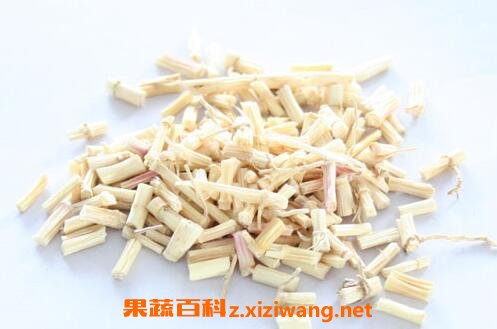 白茅根的药用价值与功效
