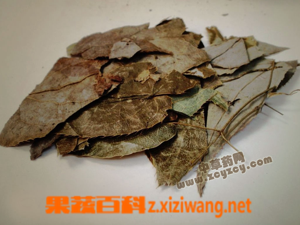 龟板胶的功效与作用