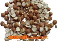 芡实的功效与作用及食用方法