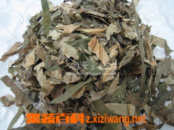 荷叶的功效与作用