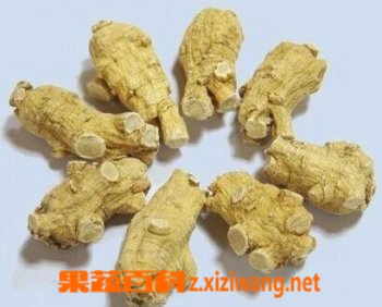 花旗参的作用和食用方法