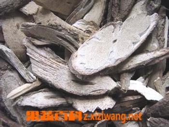 乌骨藤功效