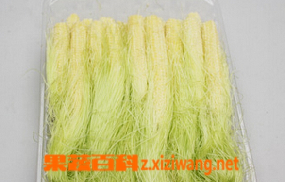 粟米须的功效与作用