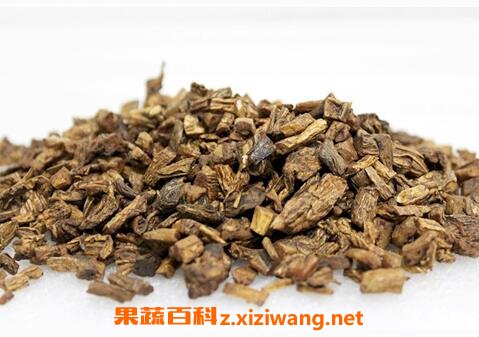 百部的功效与作用 百部的药用价值