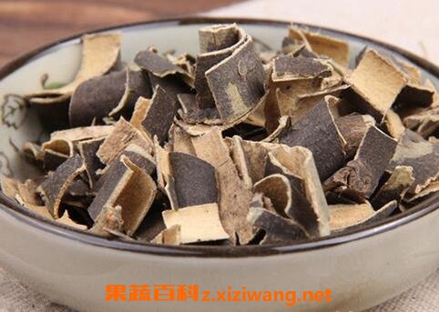 中药秦皮的功效与作用 秦皮能治疗哪些疾病