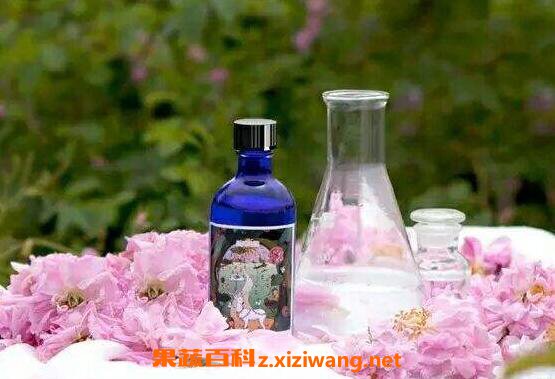 玫瑰纯露的功效与作用 玫瑰纯露的使用方法