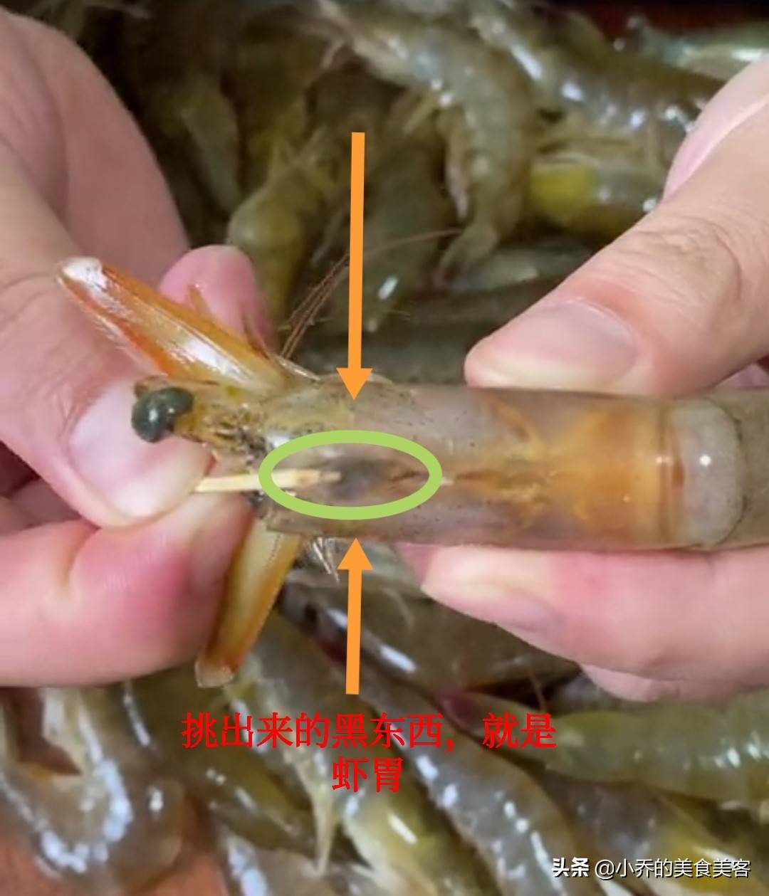 怎么清洗河虾步骤视频 河虾怎么洗