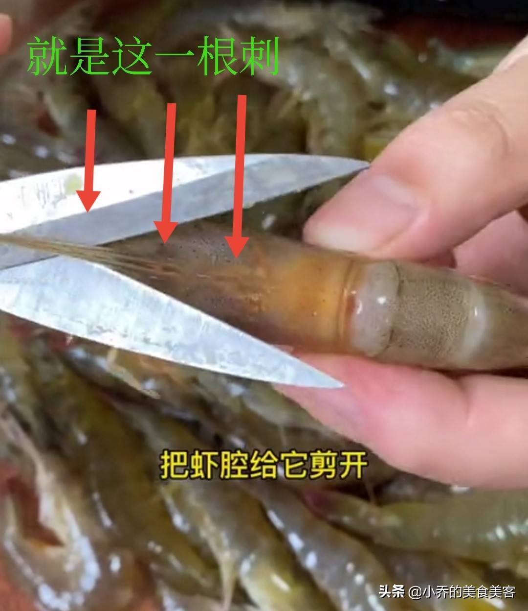 怎么清洗河虾步骤视频 河虾怎么洗