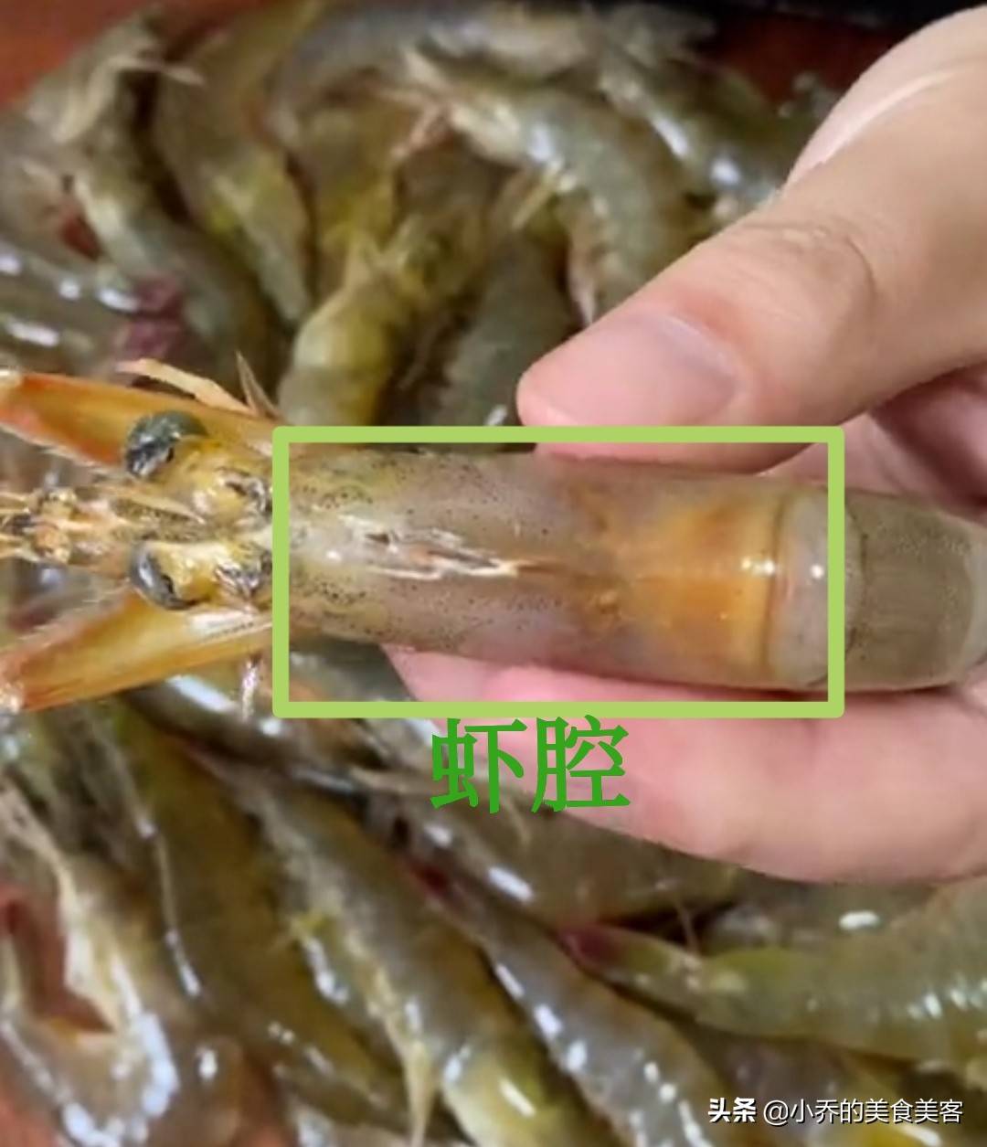 怎么清洗河虾步骤视频 河虾怎么洗