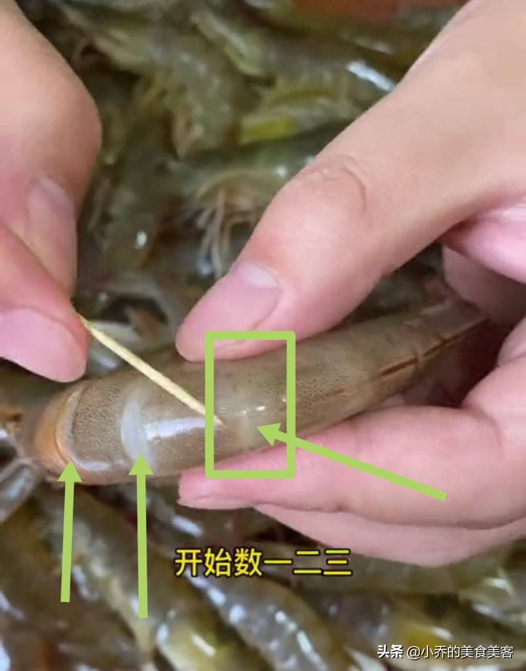 怎么清洗河虾步骤视频 河虾怎么洗