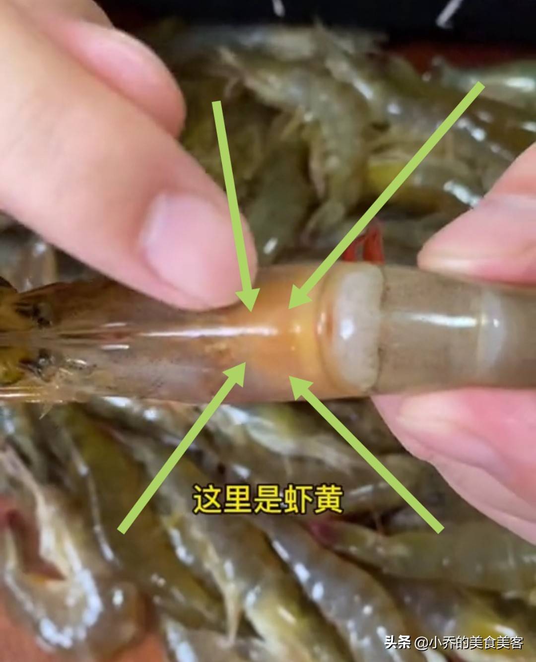 怎么清洗河虾步骤视频 河虾怎么洗