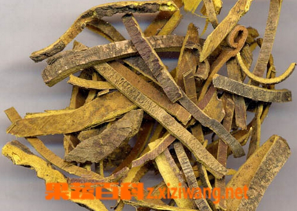 羊胆的功效与作用 羊胆的药用价值