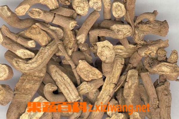 木香的功效与作用 木香有哪些好处