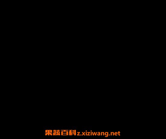 马陆的药用价值及功效作用