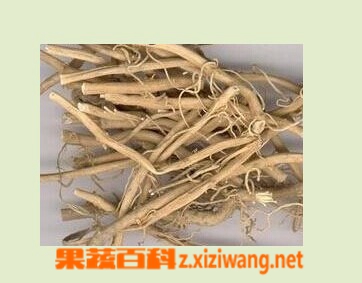 白前的功效与作用