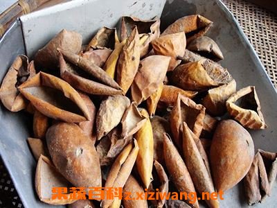 瓜蒌皮的功效与作用及禁忌