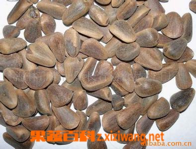 松仁的功效作用和营养价值