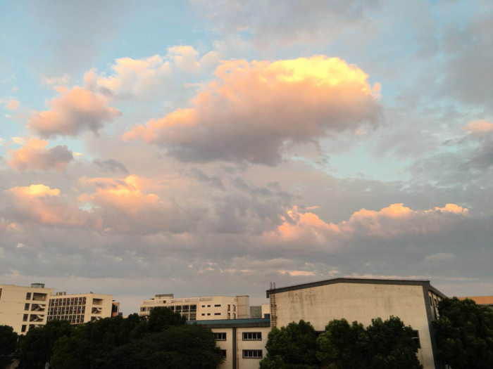 qq宠物空间 qq宠物怎么删除