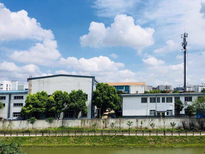 qq宠物空间 qq宠物怎么删除