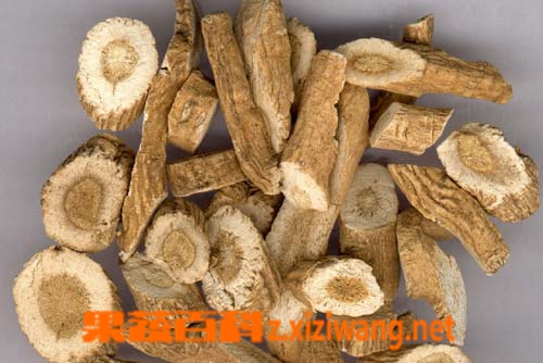 板蓝根的副作用