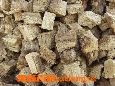 柴葛根的功效与作用