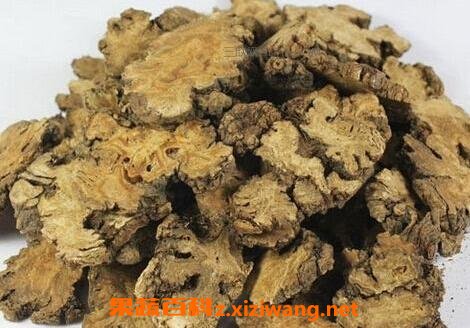 羌活的功效与作用及禁忌