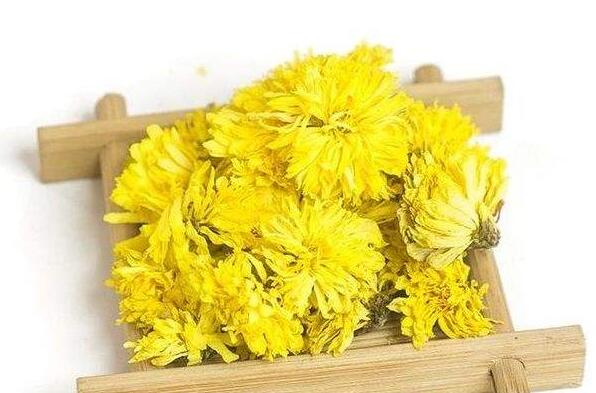 怀菊花怎么喝 怀菊花的正确泡法