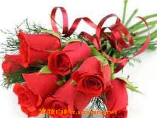玫瑰花怎么保存 玫瑰花保存的方法技巧