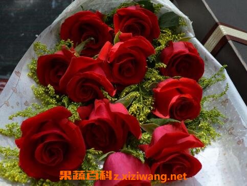 玫瑰花怎么保存 玫瑰花保存的方法技巧