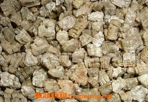 蛭石对多肉的作用 蛭石养殖多肉的用途