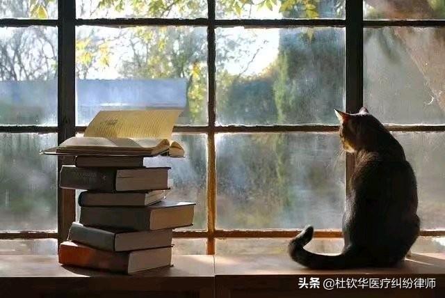 你觉得四十岁的女人最好的状态是什么样的?