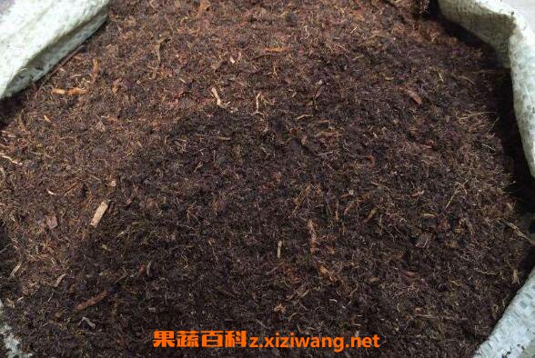营养土如何做 营养土的制作方法